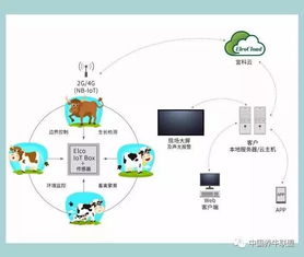 一個你不知道的神器！不了解它，連牛羊都不讓你養，你還談什么智慧養殖？